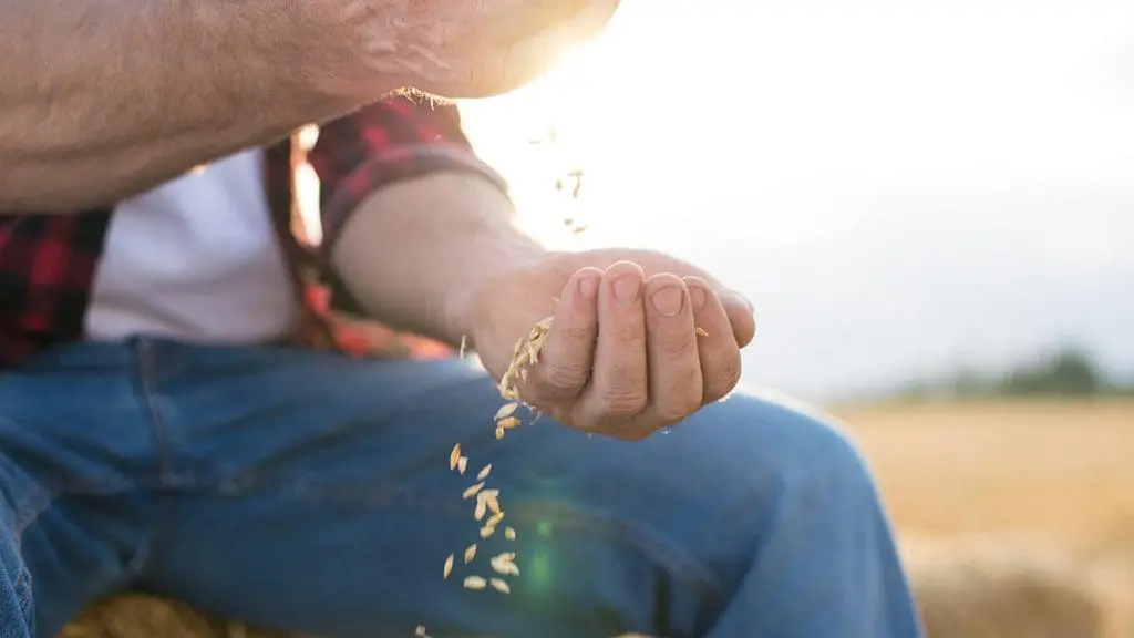 oats-ingredient-spotlight
