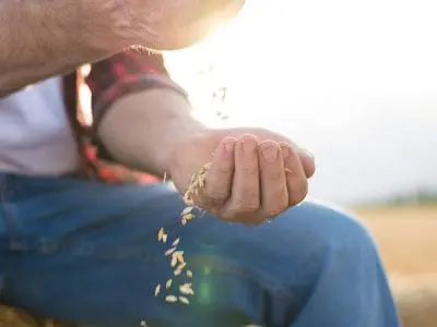 oats-ingredient-spotlight