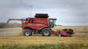 combine in field