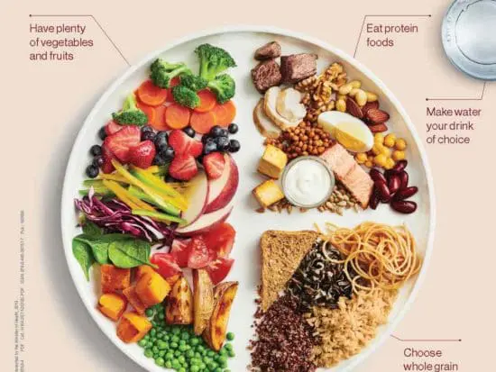 Canada Food Guide