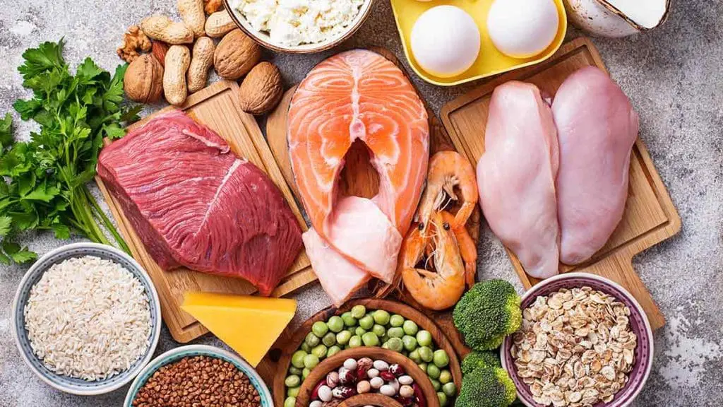 put-protein-on-your-plate