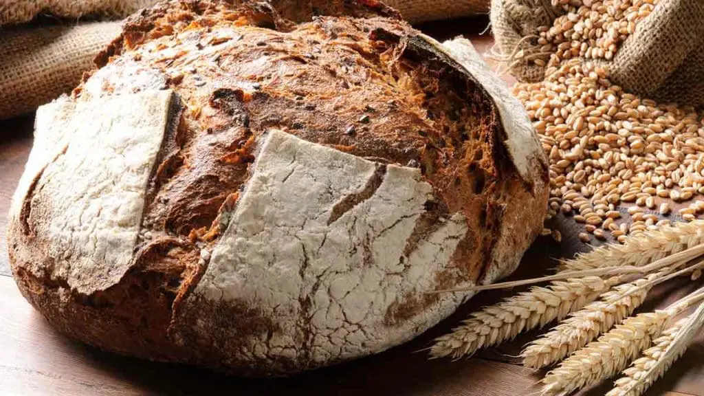 whole-wheat-bread