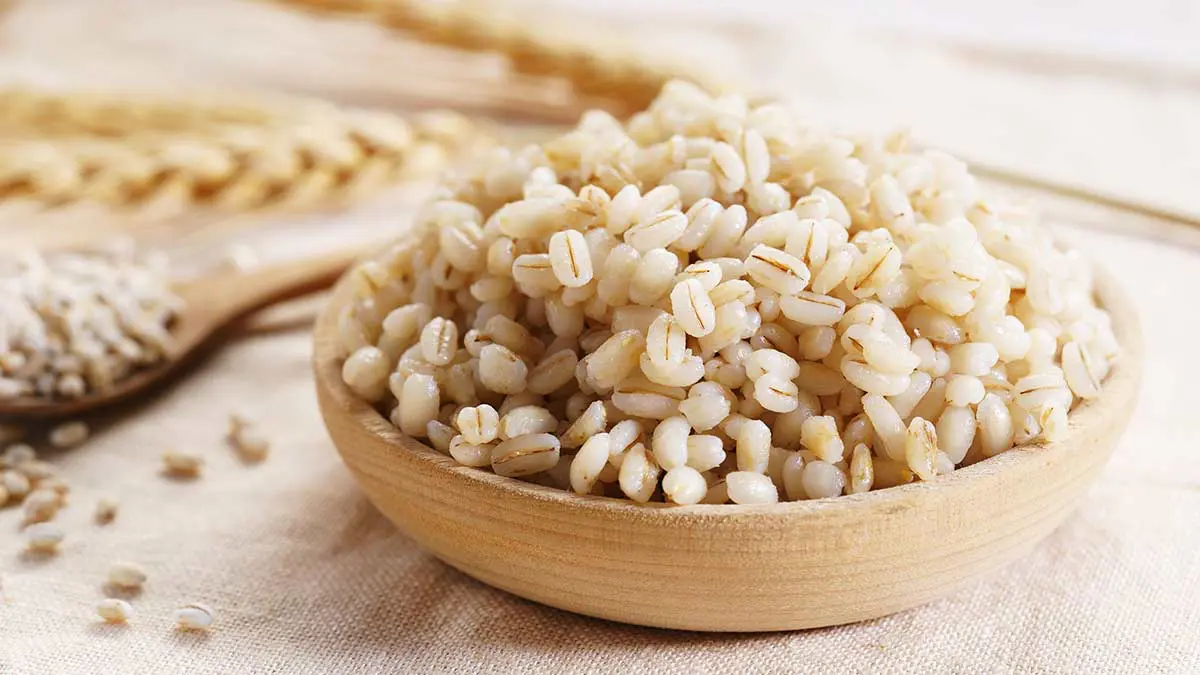 barley-fibre-food
