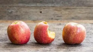 how do apples grow