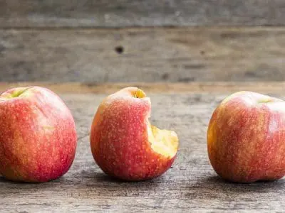 how do apples grow