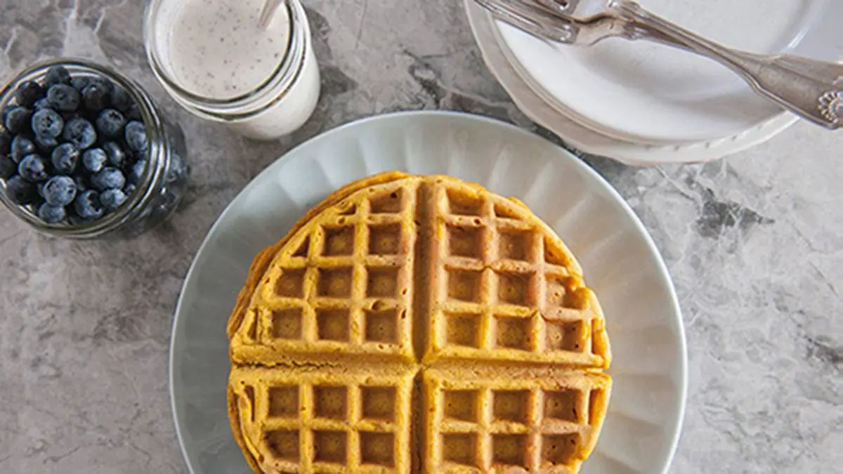 pumpkin-waffle-cinnamon-yogurt-sauce