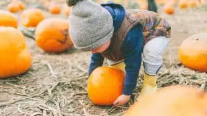 whats-in-season-pumpkins