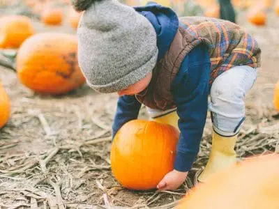 whats-in-season-pumpkins