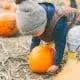 whats-in-season-pumpkins