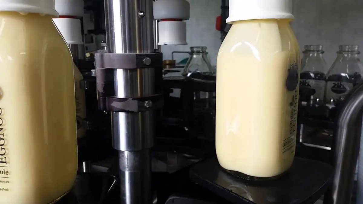 making-eggnog