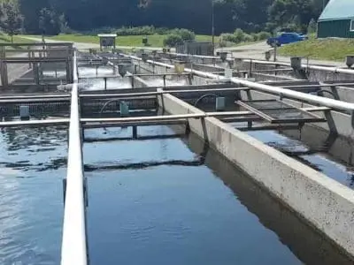raceways-trout-industry