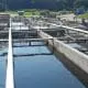 raceways-trout-industry