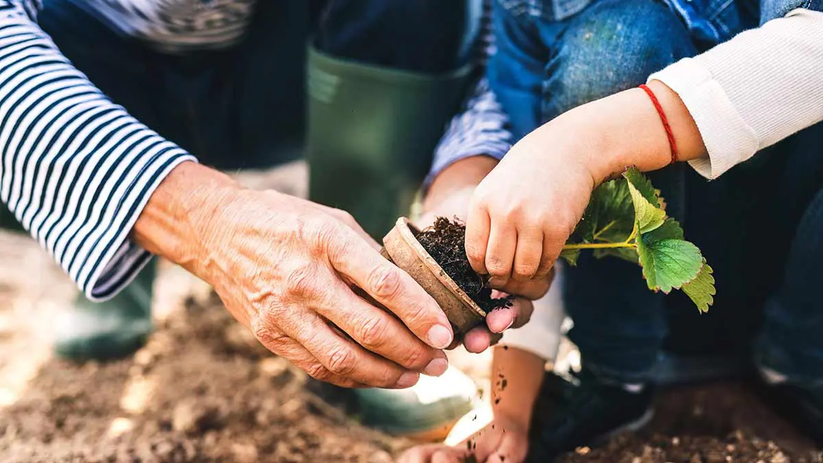kids-in-the-garden