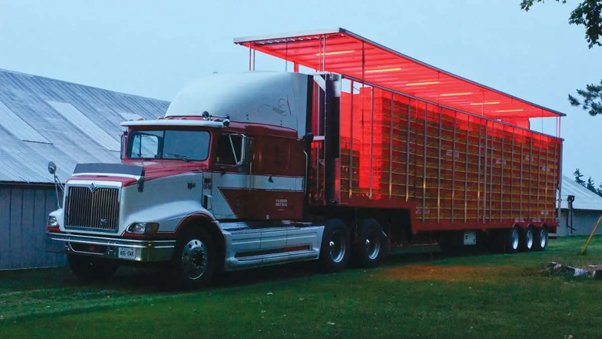 transport-truck-chicken