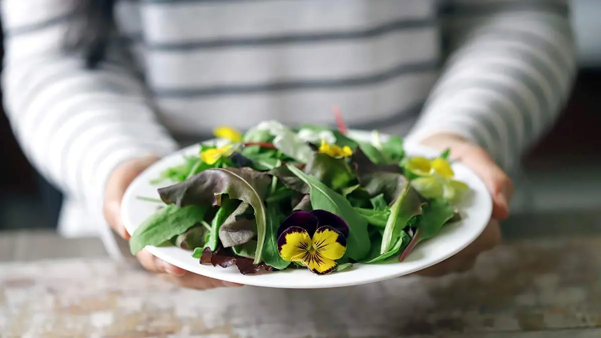 edible-flowers-on-plate