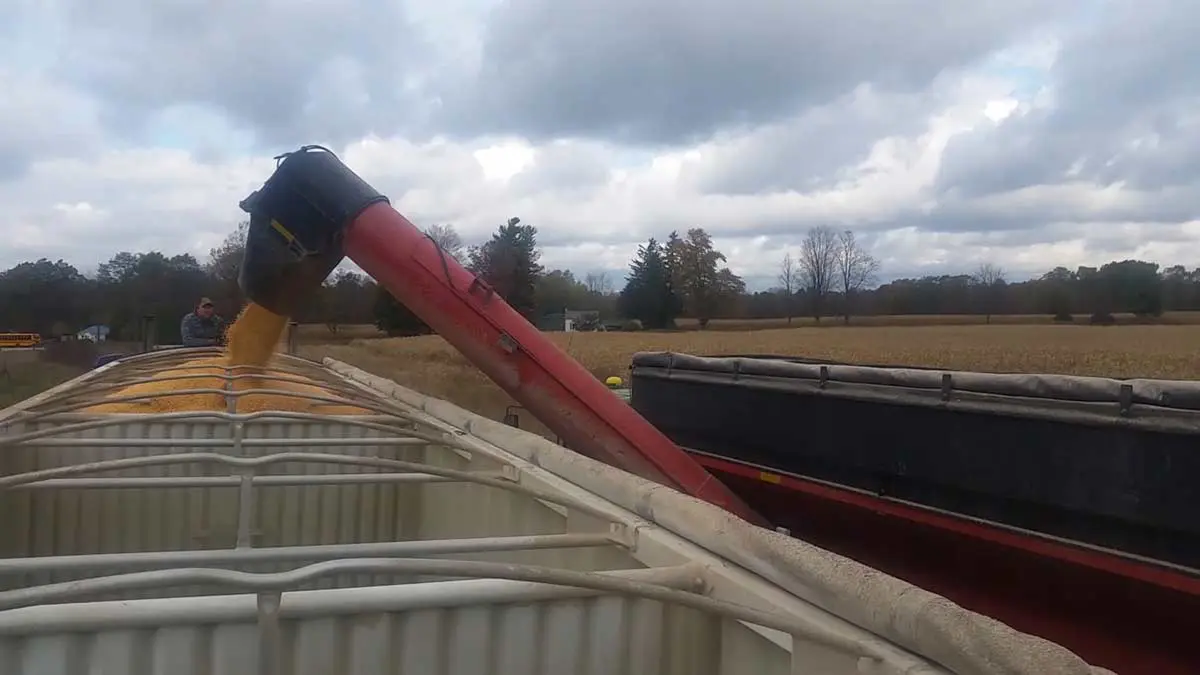 grain-buggy-unloading-corn