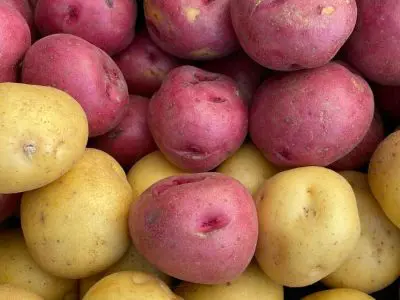 Baby potatoes