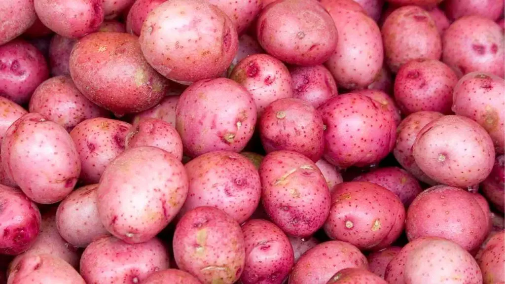 Red Potatoes