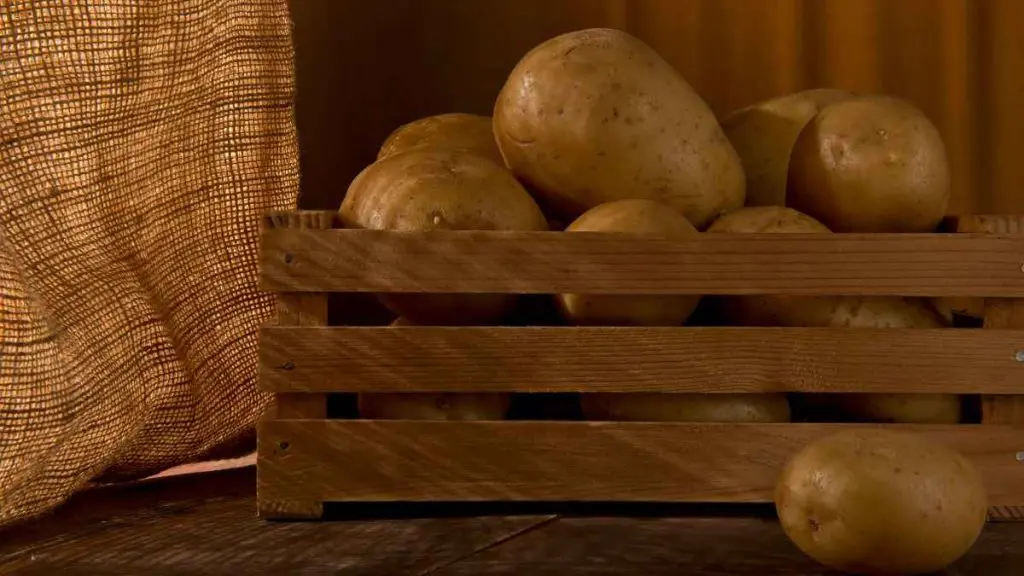 Storing Potatoes