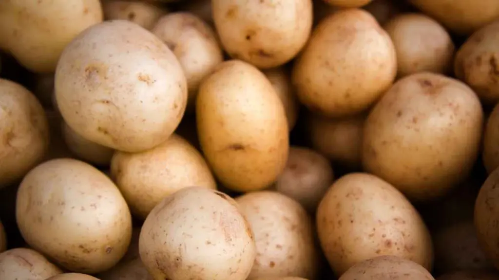 Yukon Potatoes