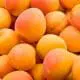 apricots