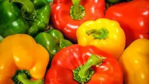bell peppers multicolor