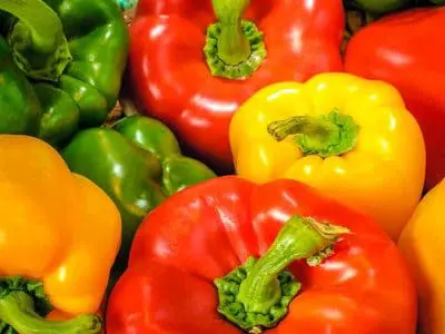 bell peppers multicolor