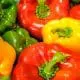 bell peppers multicolor
