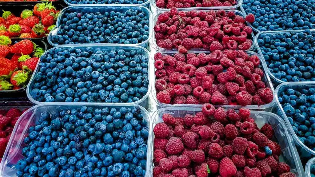 berry trays