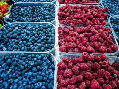 berry trays