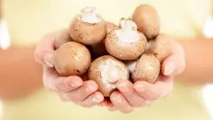 brown mushrooms