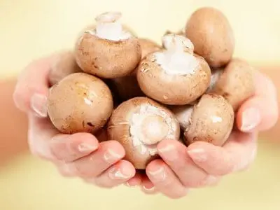 brown mushrooms