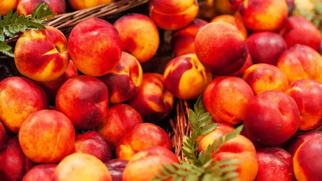 buying nectarines