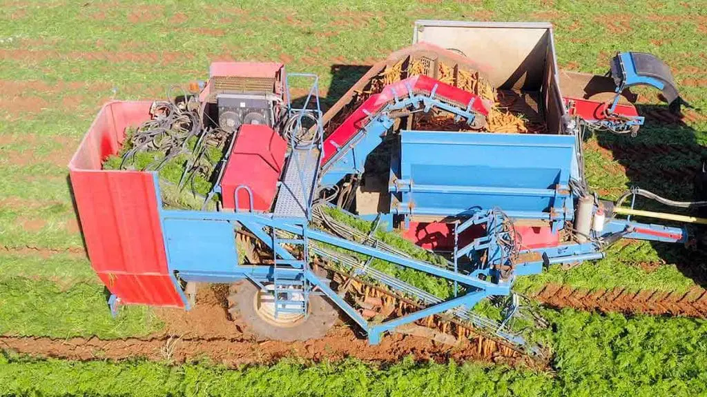 carrot harvester