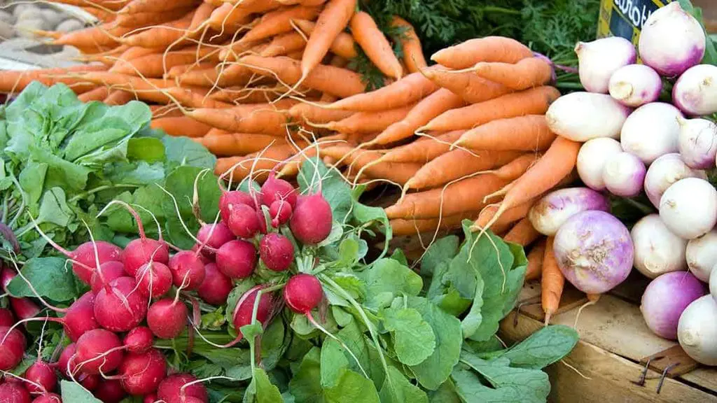 carrot radish and turnip on shelf