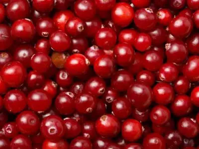 cranberries