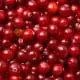 cranberries