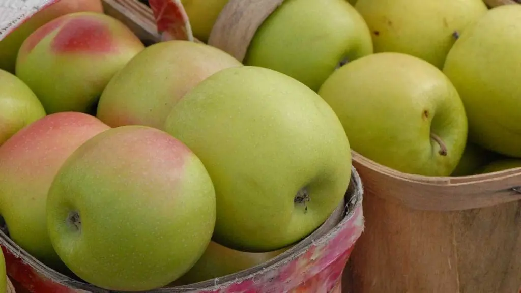 crispin apple