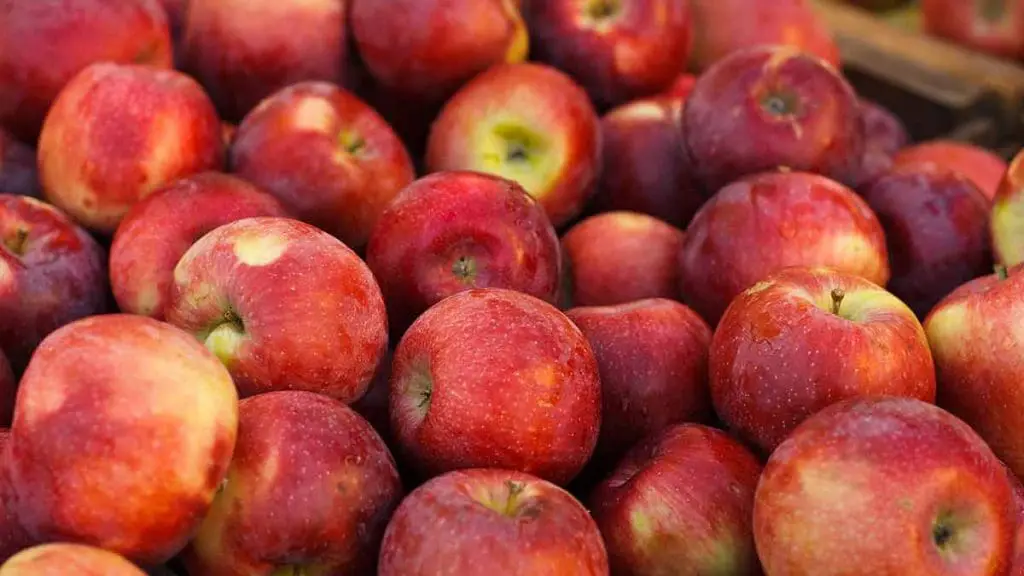 empire apple