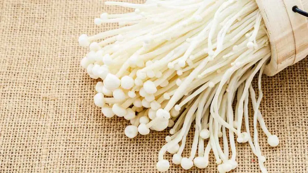 enoki mushroom