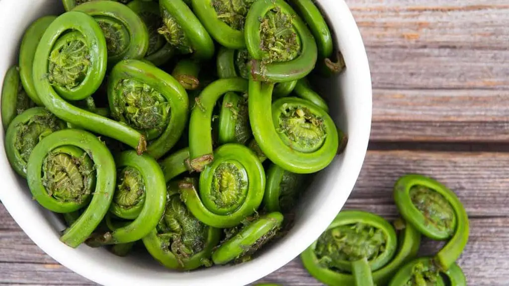 fiddleheads