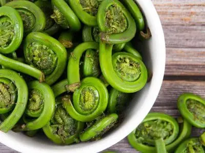 fiddleheads