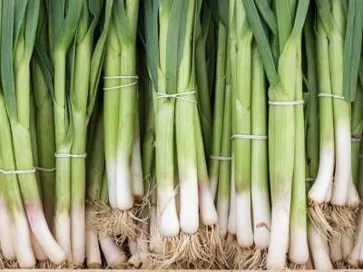 green onions