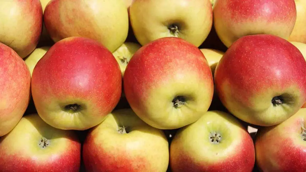 Idared Apple