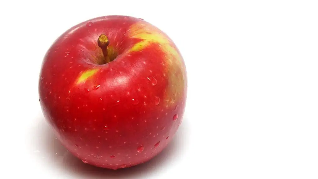 macintosh