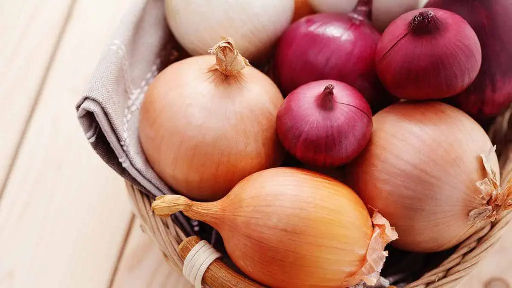 onion storage