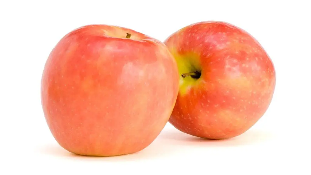 Pink lady apple