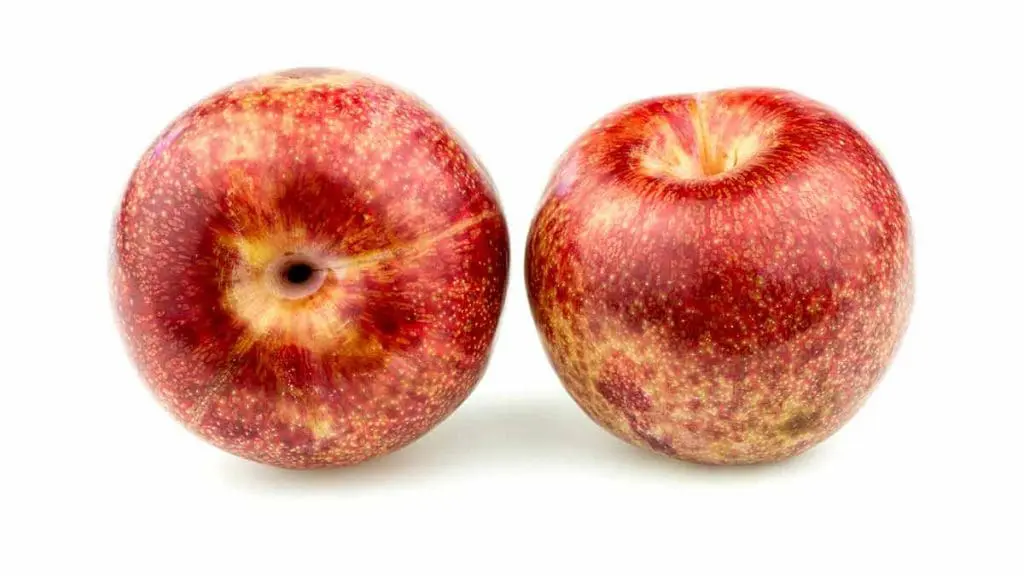 pluot plum