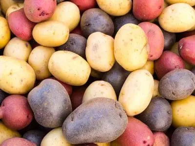 potatoes multicolored