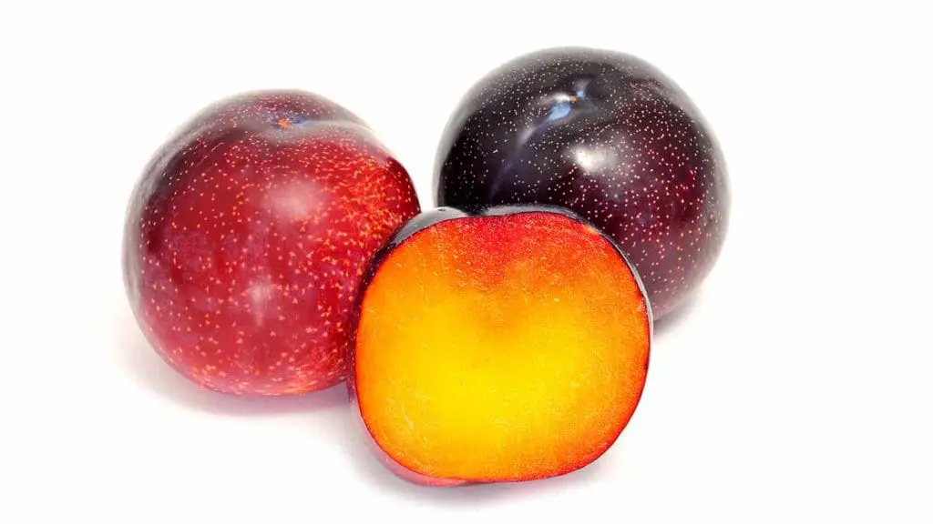 red plum
